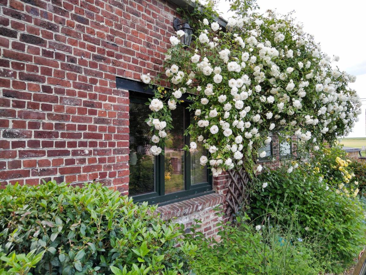 Gîte rural Les petites têtes Leuze-en-Hainaut Extérieur photo