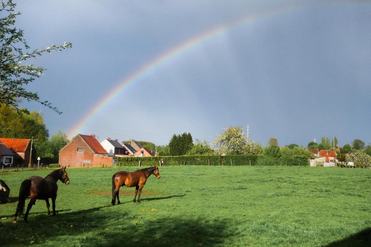 Gîte rural Les petites têtes Leuze-en-Hainaut Extérieur photo