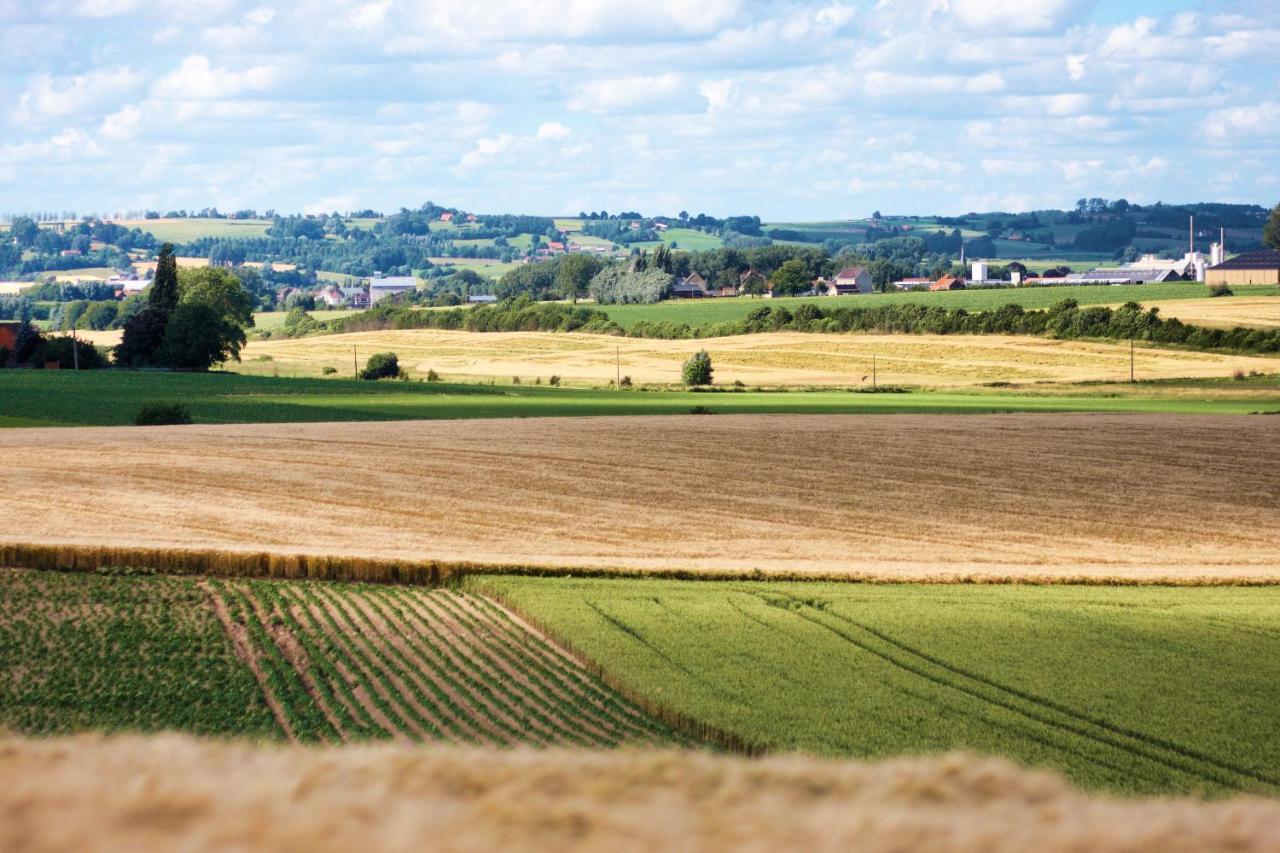 Gîte rural Les petites têtes Leuze-en-Hainaut Extérieur photo