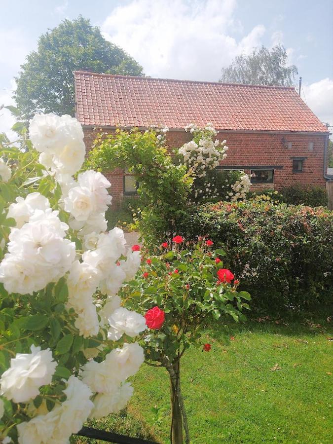 Gîte rural Les petites têtes Leuze-en-Hainaut Extérieur photo